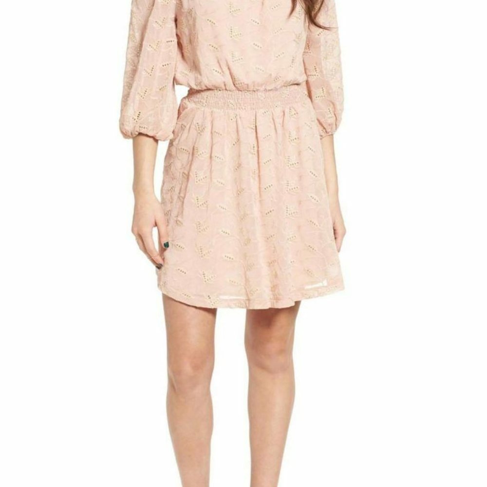 ASTR The Label Embroidered Eyelet Blush Dress Mini